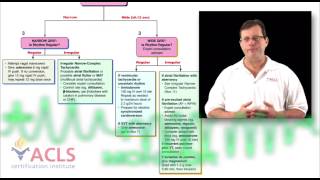 ACLS Video Review  Tachycardia Overview [upl. by Ruhnke]