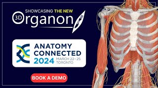 3D Organon at Anatomy Connected 2024 [upl. by Chilson497]