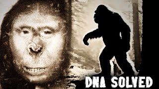 Captured Bigfoot Mystery Solved Shocking DNA Results Revealed [upl. by Suoilenroc105]