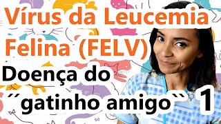 FELV  VÍRUS DA LEUCEMIA FELINA DOENÇA DO GATINHO AMIGO  PARTE 1 [upl. by Intirb80]