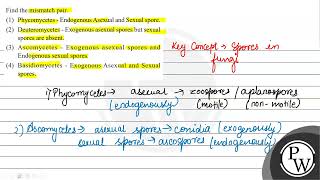 Find the mismatch pair 1 Phycomycetes  Endogenous Asexual and Sexual spore 2 Deuteromycet [upl. by Adnamas]