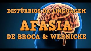 Distúrbios da Linguagem  Afasia de Broca amp Wernicke [upl. by Maryjane]