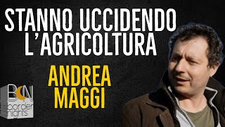 STANNO UCCIDENDO LAGRICOLTURA IL CASO DEI PANNELLI IN RISAIA  ANDREA MAGGI [upl. by Karab]