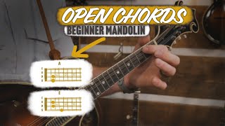 Mandolin Open Chords How to Play the A amp E Chords [upl. by Langelo]