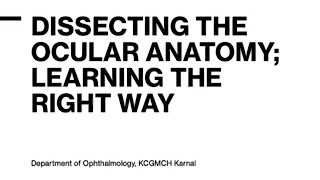 Dissecting the Ocular Anatomy  A Comprehensive Guide by Eye Surgeon ocular ophthalmology [upl. by Harriett]