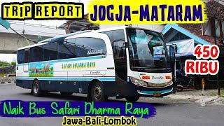 TRIP REPORT NAIK BUS JOGJA—MATARAM Safari Dharma Raya 450 RIBU [upl. by Yssis727]