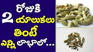 Yalukalu Secret Health Tips In TeluguAmazing Health Benefits Of CardamomElaichi Health Benefits [upl. by Yralam111]