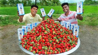 100kg STRAWBERRY MILKSHAKE  Fresh Strawberry Milkshake Recipe  Village Food [upl. by Fredette]