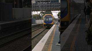 Oscar stopping at Tuggerah station [upl. by Jeu967]