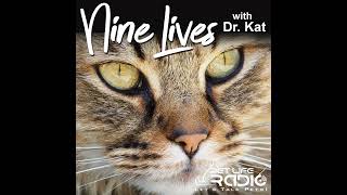 Nine Lives with Dr Kat  Episode 59 Ways to Love Your Cat Part 2 [upl. by Yerocal]