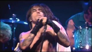 Red Hot Chili Peppers  Californication  Live at Olympia Paris [upl. by Nylarahs]