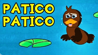 PATICO PATICO COLOR DE CAFE  canción infantil  Videos para Niños en Español [upl. by Akcinehs]