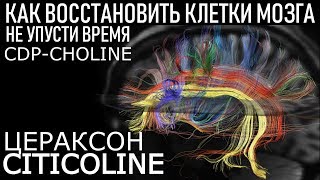 Цитиколин CDPcholine Цераксон Обзор Советы ЛУЧШИЙ НООТРОП Is This The Best Nootropic [upl. by Maxia923]