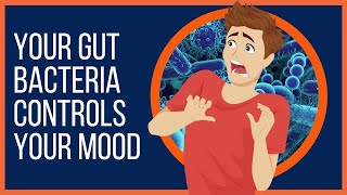 How Your Gut Bacteria Controls Your Mood [upl. by Elrebmik336]