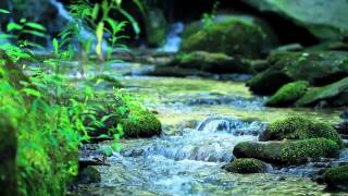 Nature Sounds Without Music  10Minutes of a Mountain Stream [upl. by Fidele]