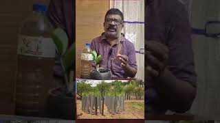 வெட்டி வேர் உற்பத்தி செஞ்சு வெவரமா பொழச்சுக்கங்கோVettiver cultivation in PVC pipes M9600876767 [upl. by Novyaj]