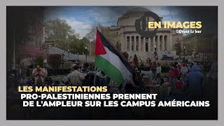 Les manifestations propalestiniennes prennent de lampleur sur les campus américains [upl. by Nigle]