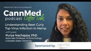 Understanding Beet Curly Top Virus Infection in Hemp with Punya Nachappa PhD [upl. by Nara132]