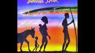 Burning Spear  Cry blood Africa [upl. by Ellekim351]