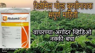 रिडोमिल गोल्ड कोणत्या रोगांवर काम करते   Ridomil gold fungicide information in marathi [upl. by Lovell]