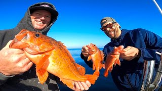 California Vermillion Rockfish Catch Clean and Cook [upl. by Nikolos]