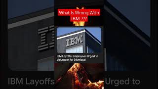 IBM Layoffs  Employees Urged To Volunteer For Dismissal shorts shortvideo short ibm layoffs [upl. by Wiburg]