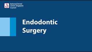 Endodontic Surgery [upl. by Enyt]