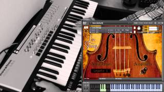 Hybrid Strings  Live Demo Arabic Maqams [upl. by Ahoufe]