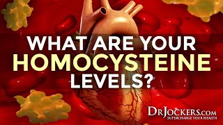 What are Your Homocysteine Levels [upl. by Ellennod]