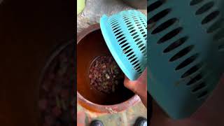 Making a fish pond using a clay barrel is easy hobbyikan kolamikanminimalis ikanhias ikankoki [upl. by Delia]