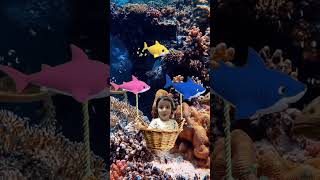 baby shark babyshark viral trending kidssongs [upl. by Dnalyaw]