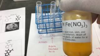 What Happens When AspirinSalicylic Acid Is Treated with Ferric Chloride [upl. by Hayarahs496]