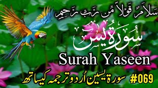 Surah Yasin Yaseen with Urdu Translation  Hindi Tarjumaसूरह यासीन उर्दू अनुवाद के साथ 0012 [upl. by Buddy]