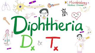 Corynebacterium diphtheriae Diagnosis and Treatment  Microbiology 🧫 [upl. by Darcee]