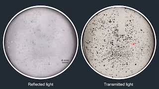 ZJUEarthData Webinar20240904Taryn ScharfPredicting source rock silica [upl. by Golden]