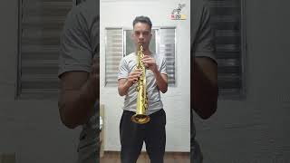 Sax Soprano  CCB  Hino 433  Na santa escola ccb hinosccb shorts saxophone saxcover [upl. by Izawa]