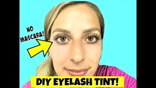 DIY EYELASH TINTING AT HOME Natural Looking Lashes [upl. by Aicenert]