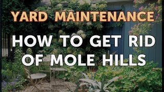 How to Get Rid of Mole Hills [upl. by Bruce985]