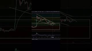 SHIB Altcoins Are Seriously About To Explode A Matter Of Time Shib shiba [upl. by Sirdi]