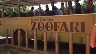 Boarding Zoofari at North Carolina Zoo [upl. by Ariajay]