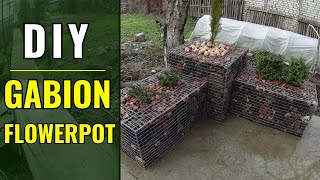 Gabion Flowerpot DIY [upl. by Anak314]