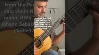 Sarabande BWV 1002 by J S Bach guitar bach segovia classicalguitar violin music [upl. by Fadiman]