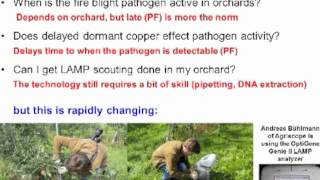 Fire Blight Control in Organic Pome Fruit Systems Webinar [upl. by Coh764]