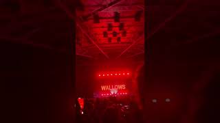 WALLOWS CONCERT wallows wallowsconcert concert toronto wallowstypebeat [upl. by Lindblad381]