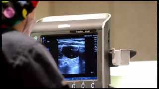 12 months Zero Iatrogenic Pneumothorax  Zero Room for Error Sonosite Ultrasound [upl. by Neyud]