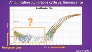 Baselines in RealTime PCR  Ask TaqMan® Ep 5 [upl. by Monagan]