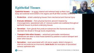 Chapter 4  Histology [upl. by Feltie]