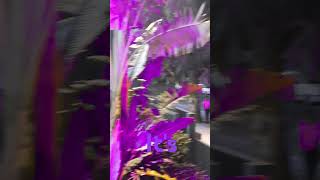 CENTRIO MALL DEHRADUN travel shortsviral lavender [upl. by Weston912]