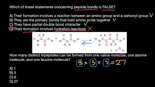 Peptide bond [upl. by Anilad35]