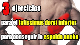 Los 3 mejores ejercicios del dorsal ancho inferior para una espalda más voluminosa [upl. by Eneja62]